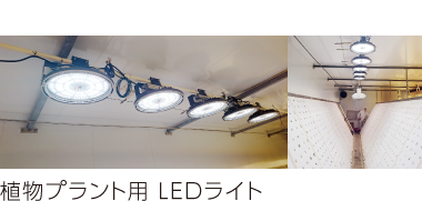 ��ʪ�ץ�����LED�饤��